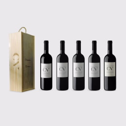 Conjunto Premium CV - Quinta Vale D. Maria Conjunto Premium CV - Quinta Vale D. Maria