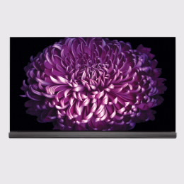 LG TV OLED 65G7V LG TV OLED 65G7V