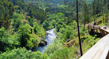 Hotel S. Pedro Arouca