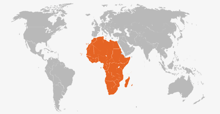 BPI Gestão de Activos - BPI África