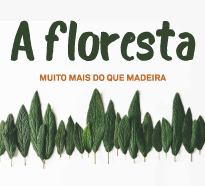 Exposições Itinerantes - A Floresta: De 12 de junho a 28 de agosto em Portimão Exposições Itinerantes - A Floresta: De 12 de junho a 28 de agosto em Portimão