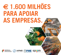 Linha Capitalizar 2018 Linha Capitalizar 2018