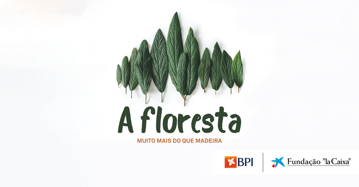 Exposi&ccedil;&atilde;o âA Florestaâ da Funda&ccedil;&atilde;o âla Caixaâ e do BPI recebe mais de 27.000 visitantes em Braga | Banco BPI