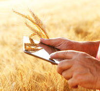 BPI Agricultura/Atualidade agricola BPI Agricultura/Atualidade agricola