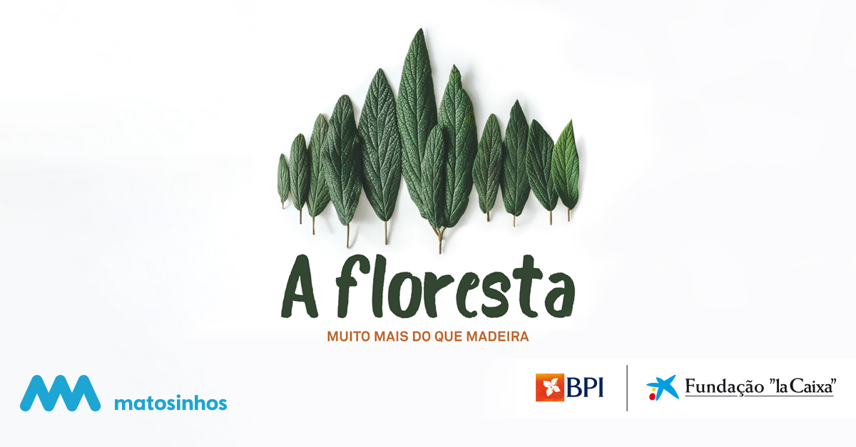 Exposi&ccedil;&atilde;o 