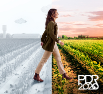 PDR 2020 PDR 2020