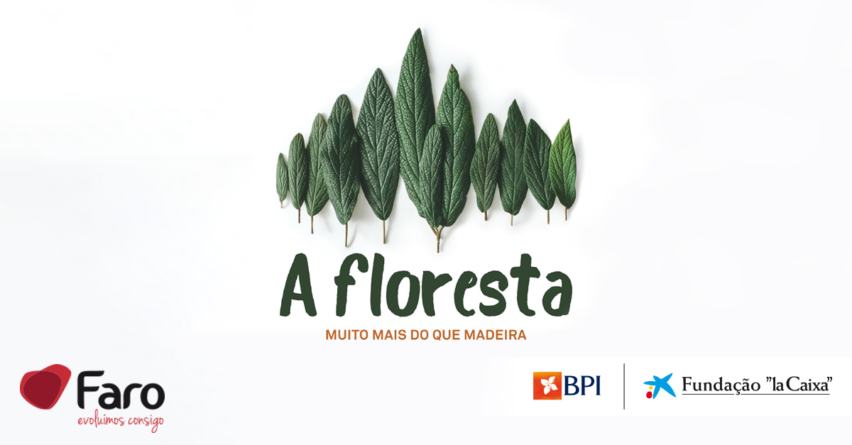 A Funda&ccedil;&atilde;o 