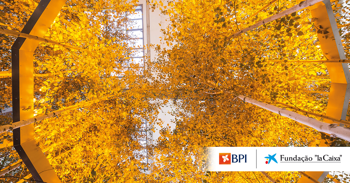 Exposi&ccedil;&atilde;o O Vosso/Nosso Futuro &eacute; Agora de Olafur Eliasson | Banco BPI