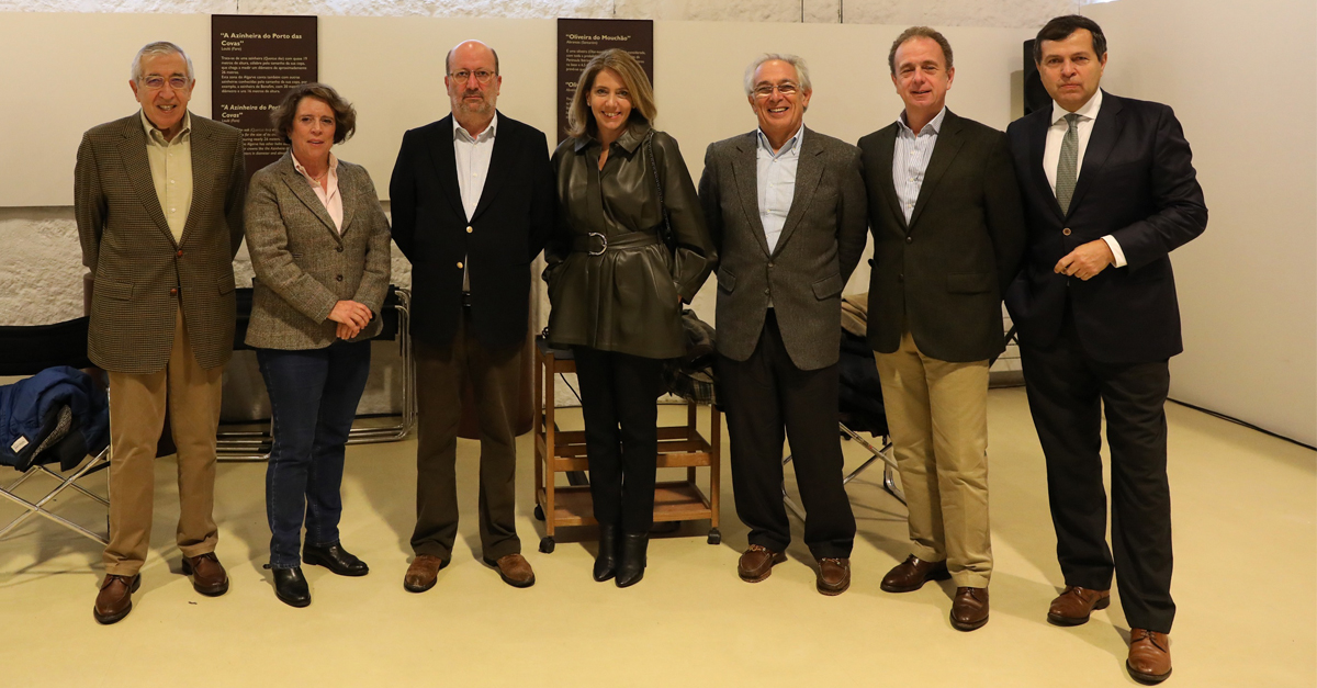 Serralves contar&aacute; com um espa&ccedil;o permanente sobre a Floresta  | Banco BPI