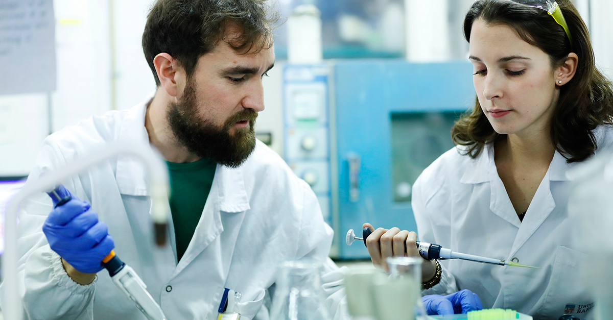 A Funda&ccedil;&atilde;o 