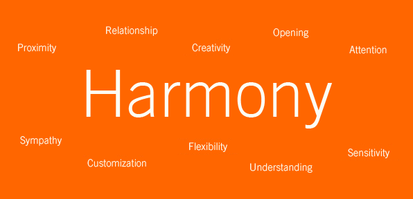 Grupo BPI _A Marca_Identidade_Harmonia