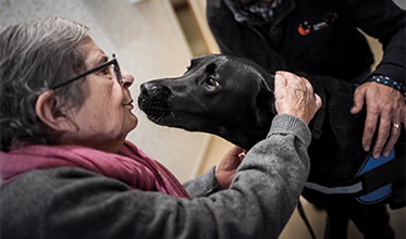 373x220_Seniores_Premios_RS26