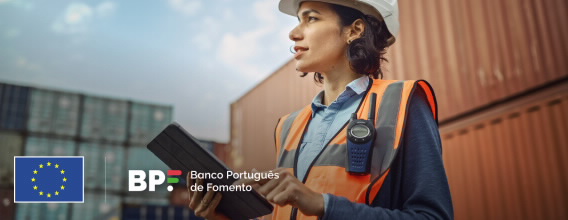 568x220_Destaque_BPF-Invest-Export