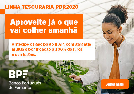 Info: 