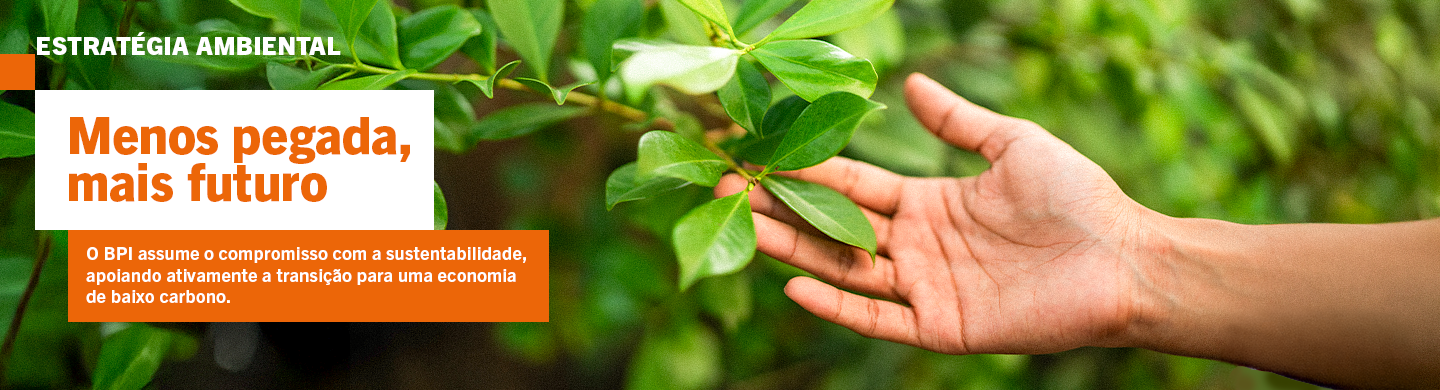Banner sustentabilidade - Estratégia ambiental.png