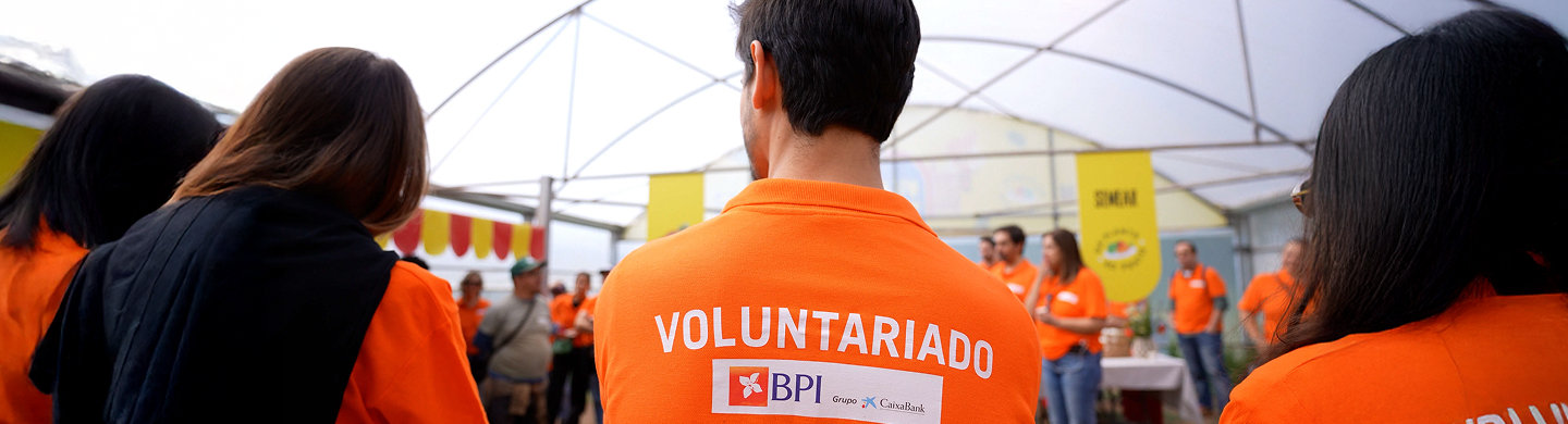 Banner Voluntariado
