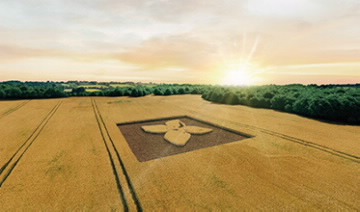 Soluções BPI Agricultura