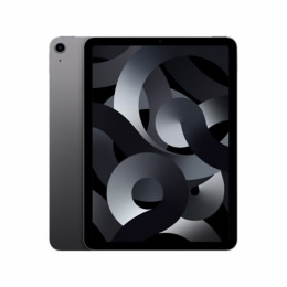 iPad Air cinzento sideral