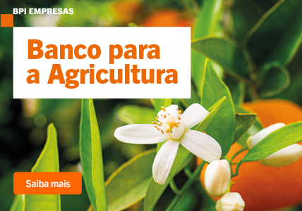 Info: 