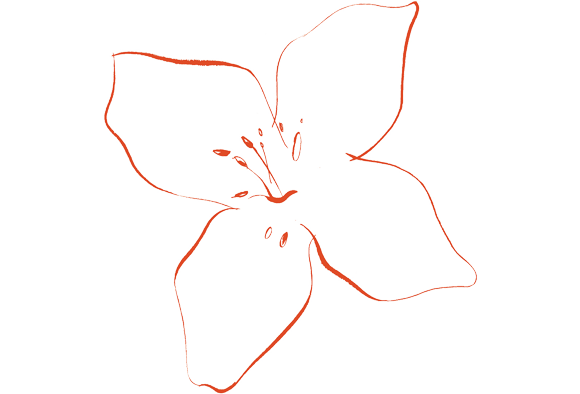 Orange flower from Banco BPI with orange outline.