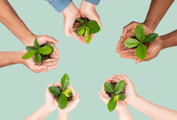 Mãos com plantas