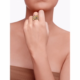 Anel Paradise Collection