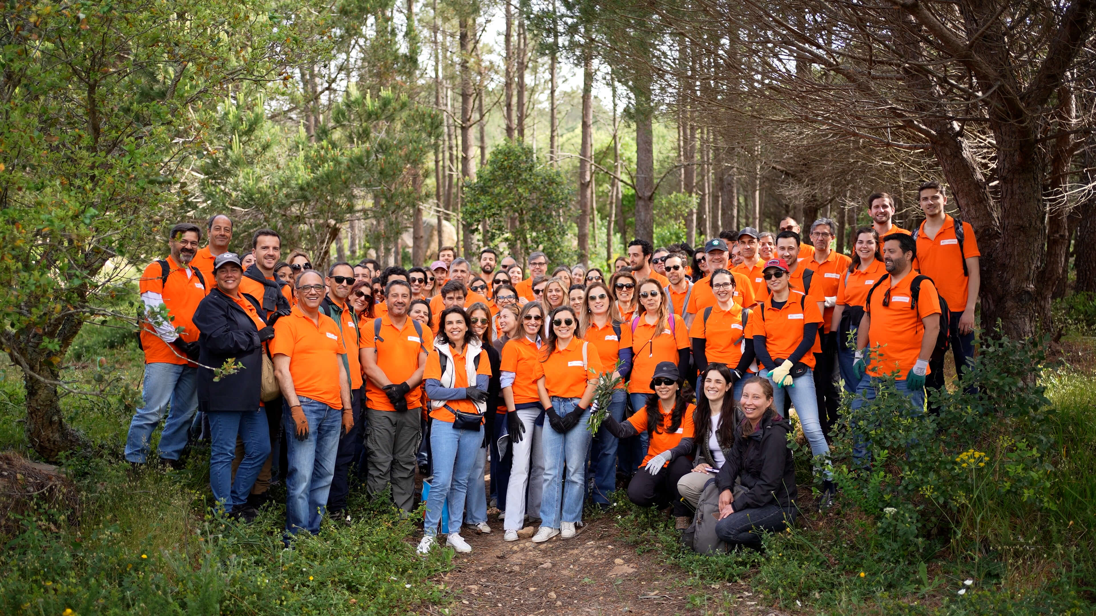 Colaboardores do BPI numa ação de voluntariado BPI ao ar livre.