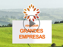 210x158_vencedor_grandes_empresas