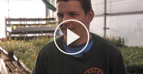 460x240framevideo rural