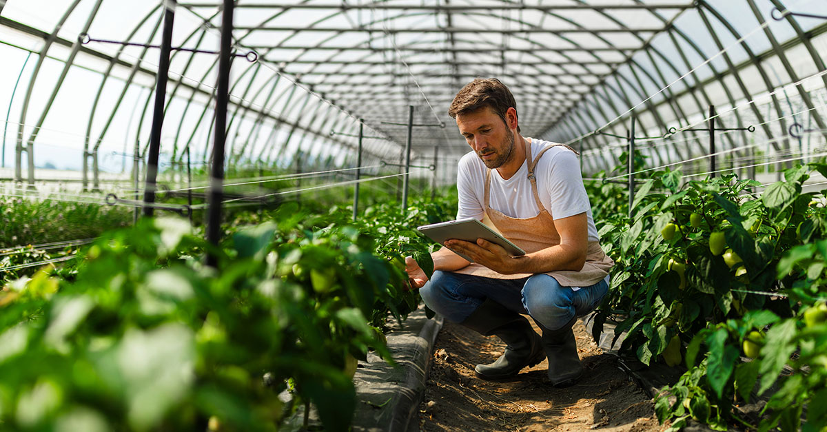 Protocolo BPI/CAP - imagem